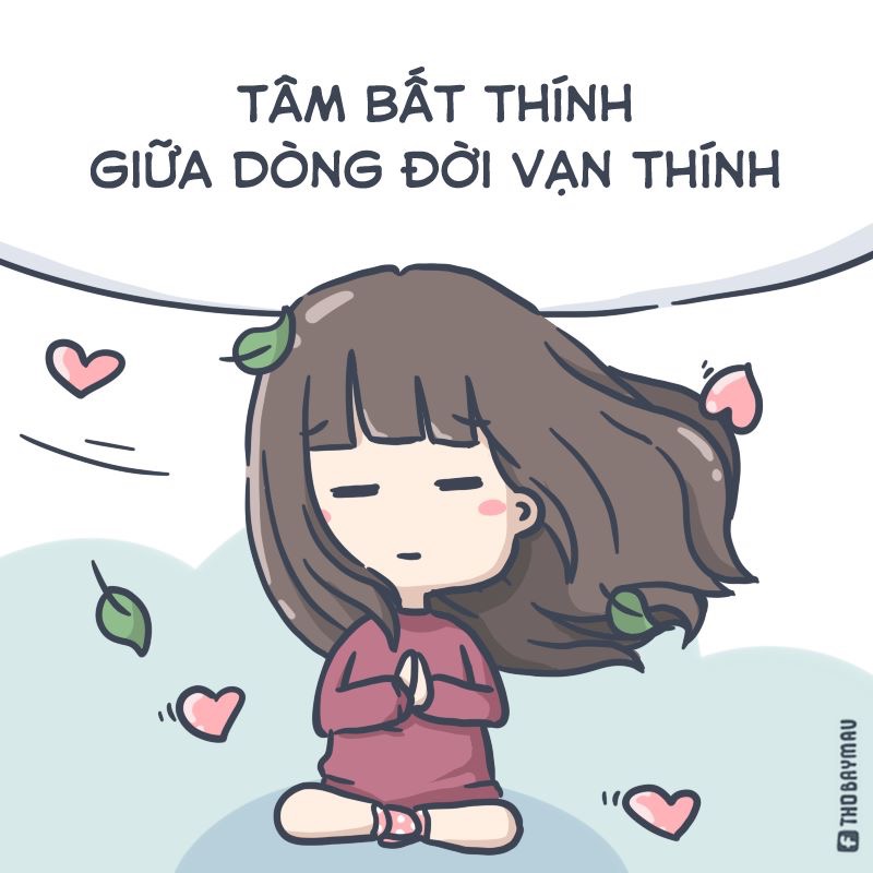 Mai Quế