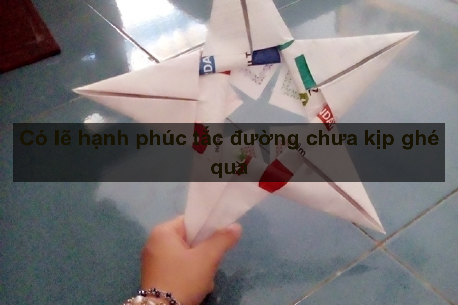 Vũ Thị Thanh Thảo