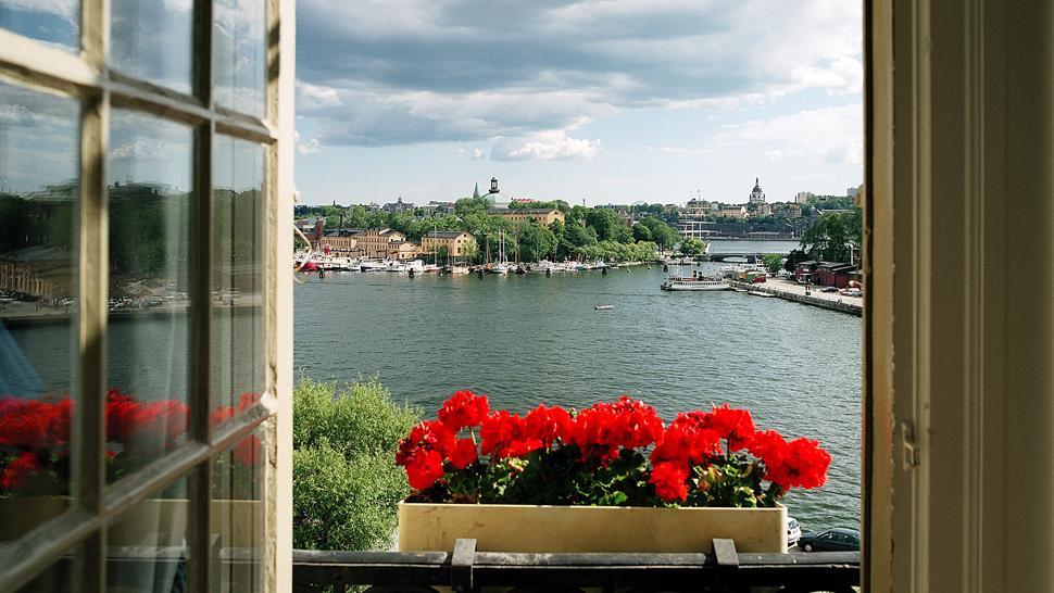 nguyễn hoàng oanh