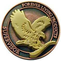 Nguyễn xuân việt