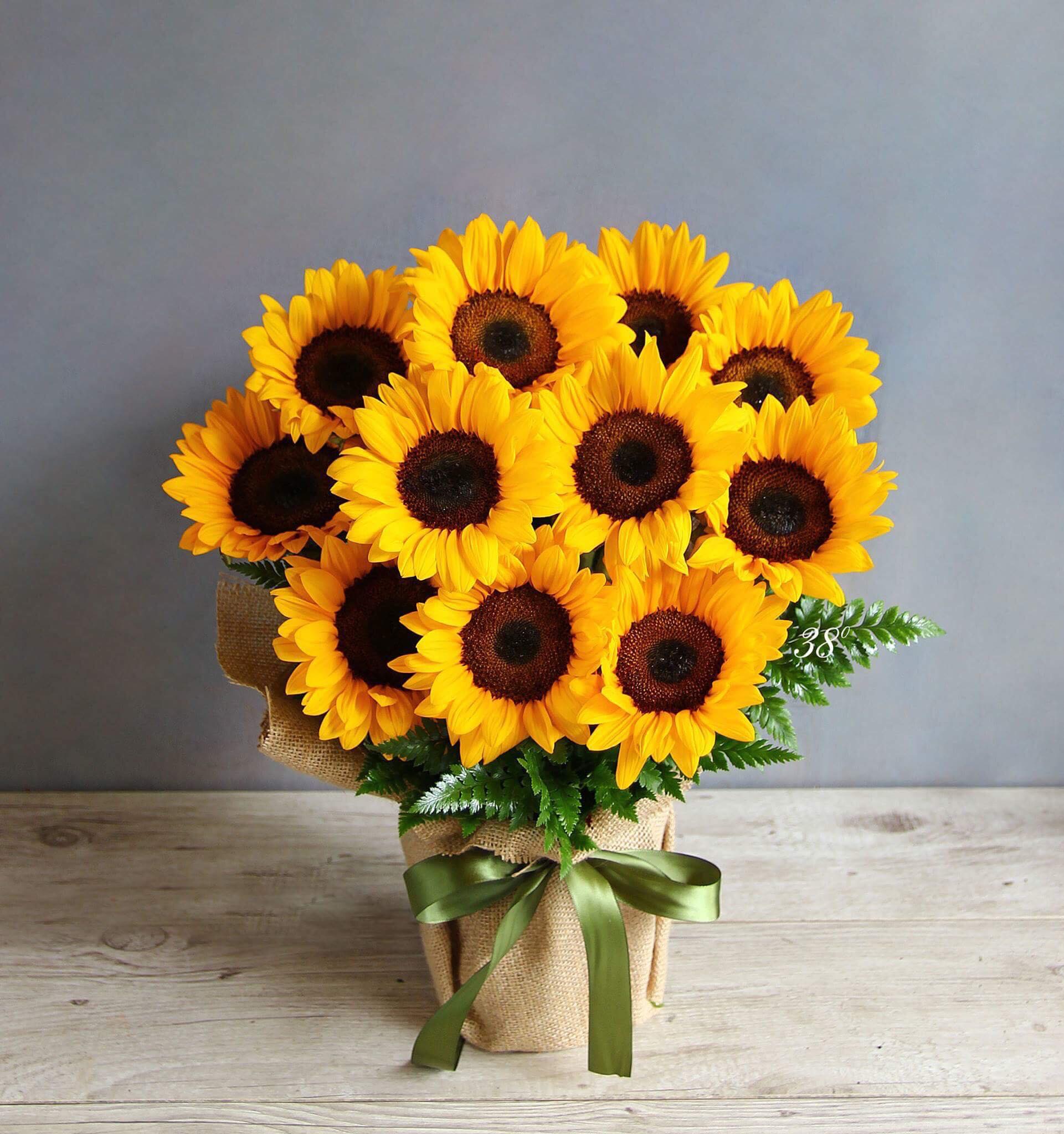 Lê Thị Hữu Hoàng