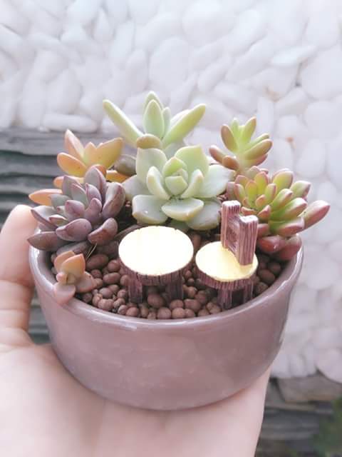 Lý Thụy Kiến