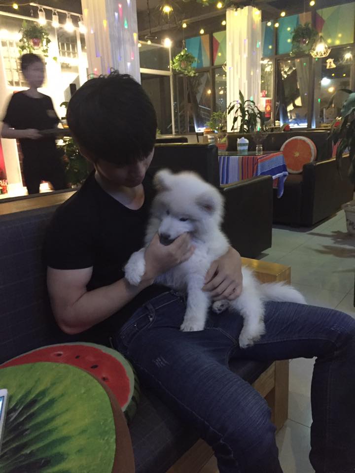 Hoàng Ngọc Dương