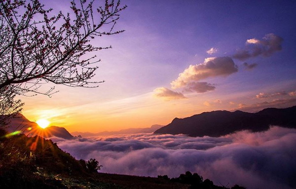 Nguyễn Thị Mỹ Phượng