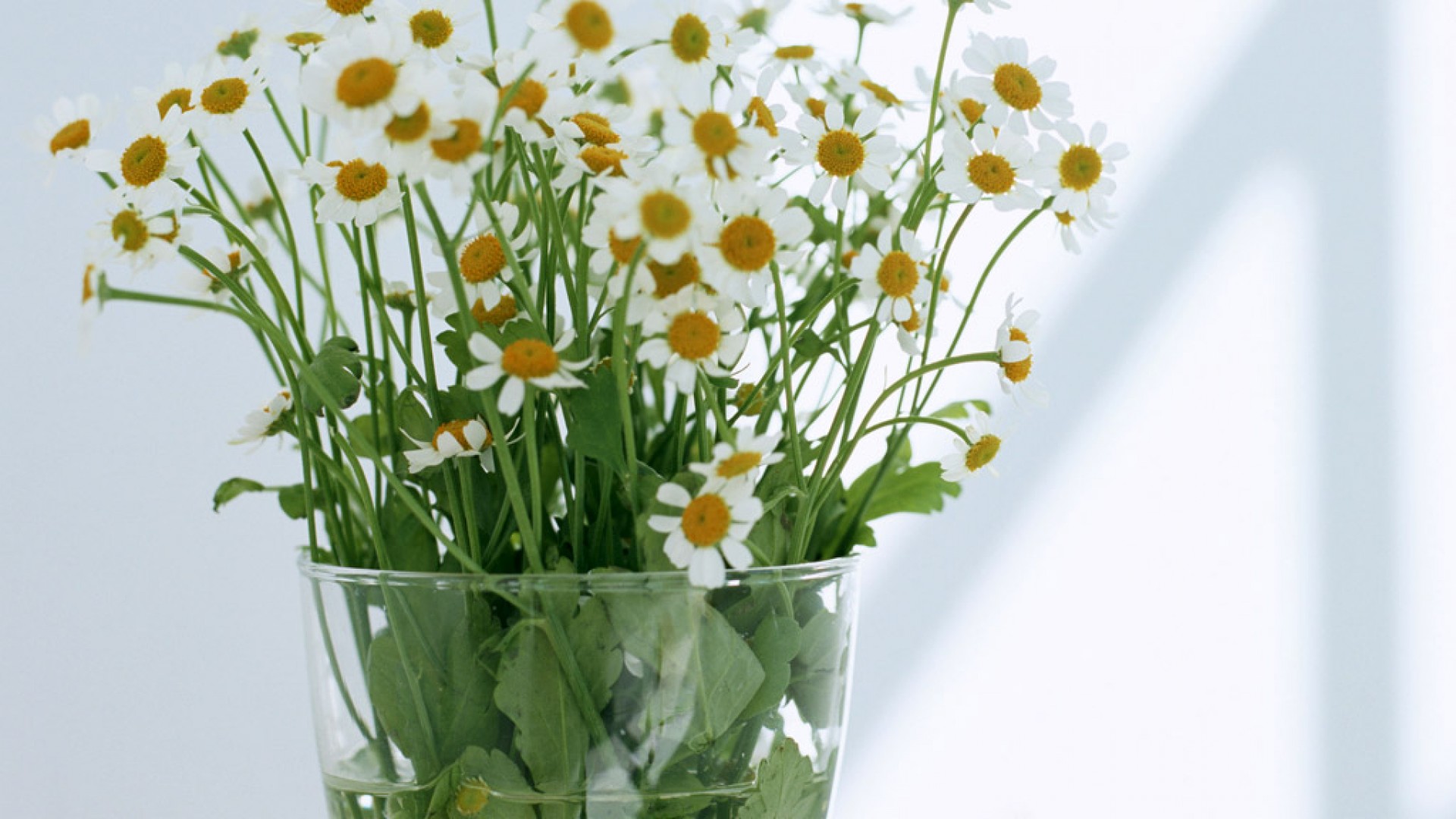 Nguyễn Thị Khánh Huyền