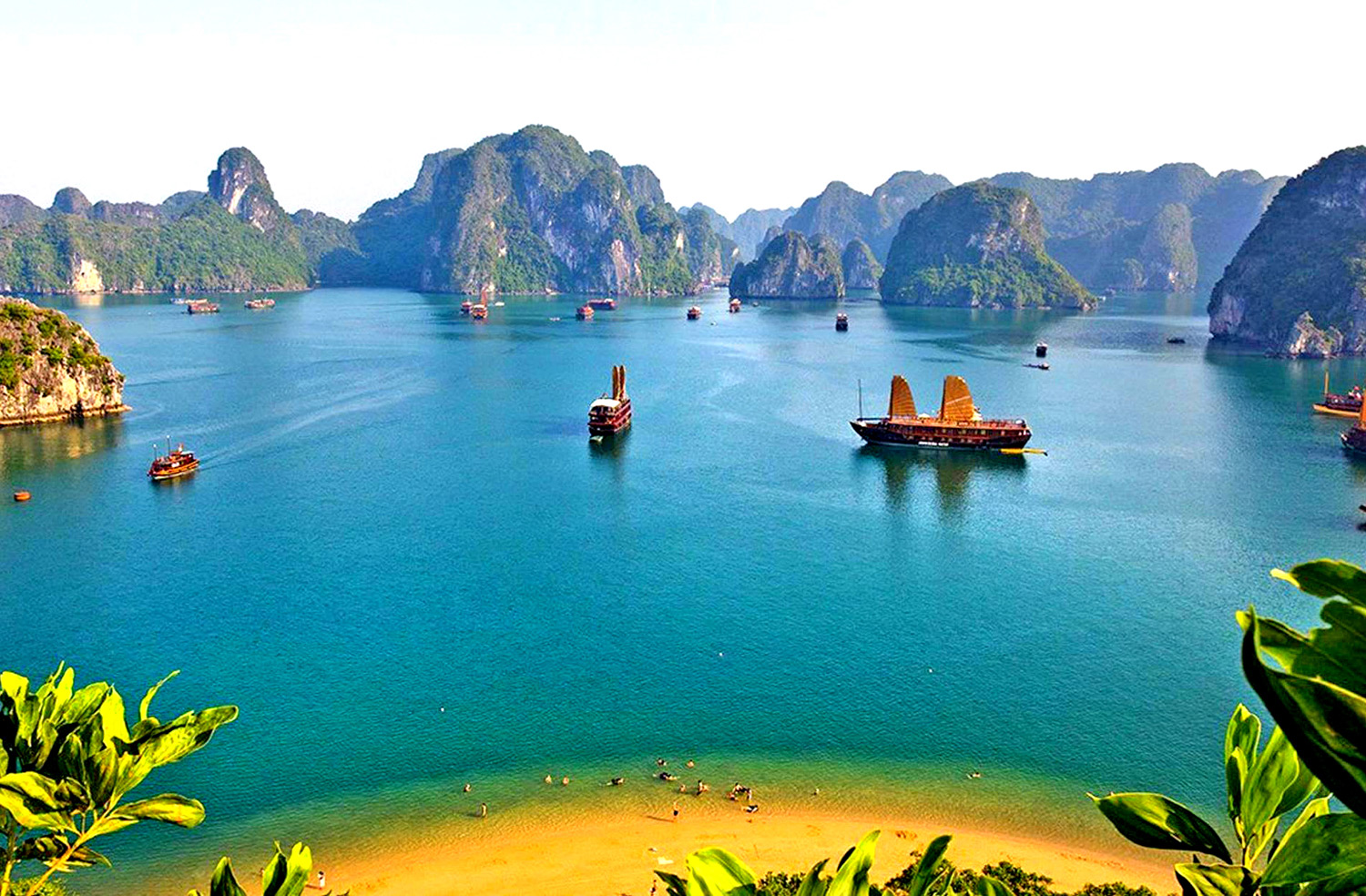 Nguyễn Nhật Mai Trinh