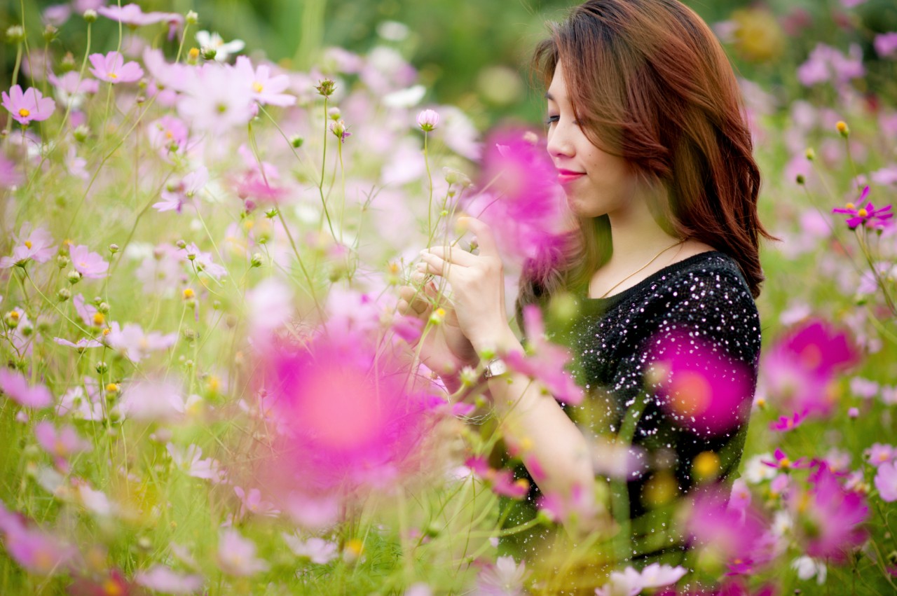 Mỹ Mỹ