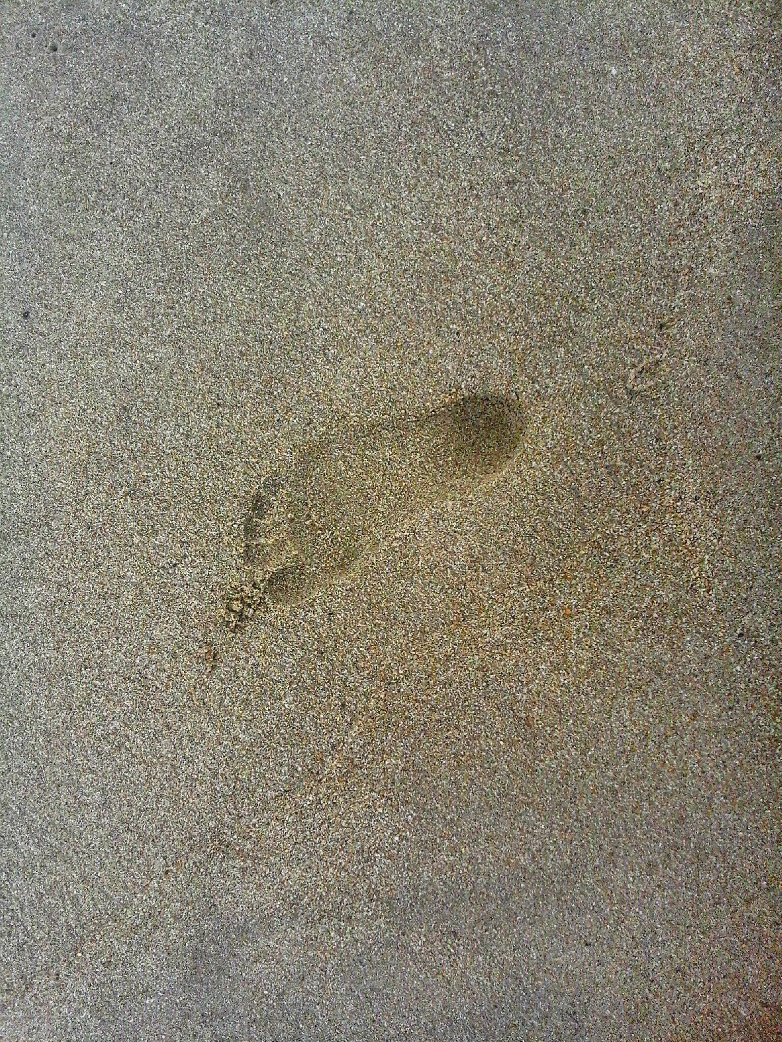 Hoàng Dung