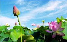 Trương Thị Lệ Tuyết
