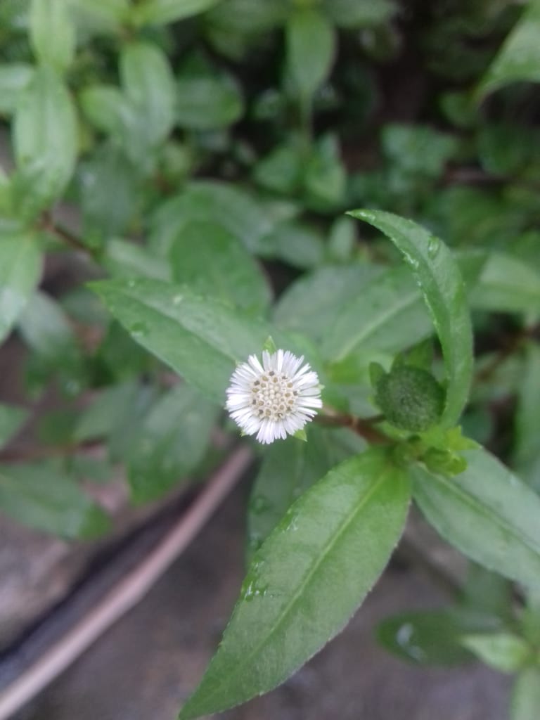 Nguyễn Thị Mỹ Duyên 