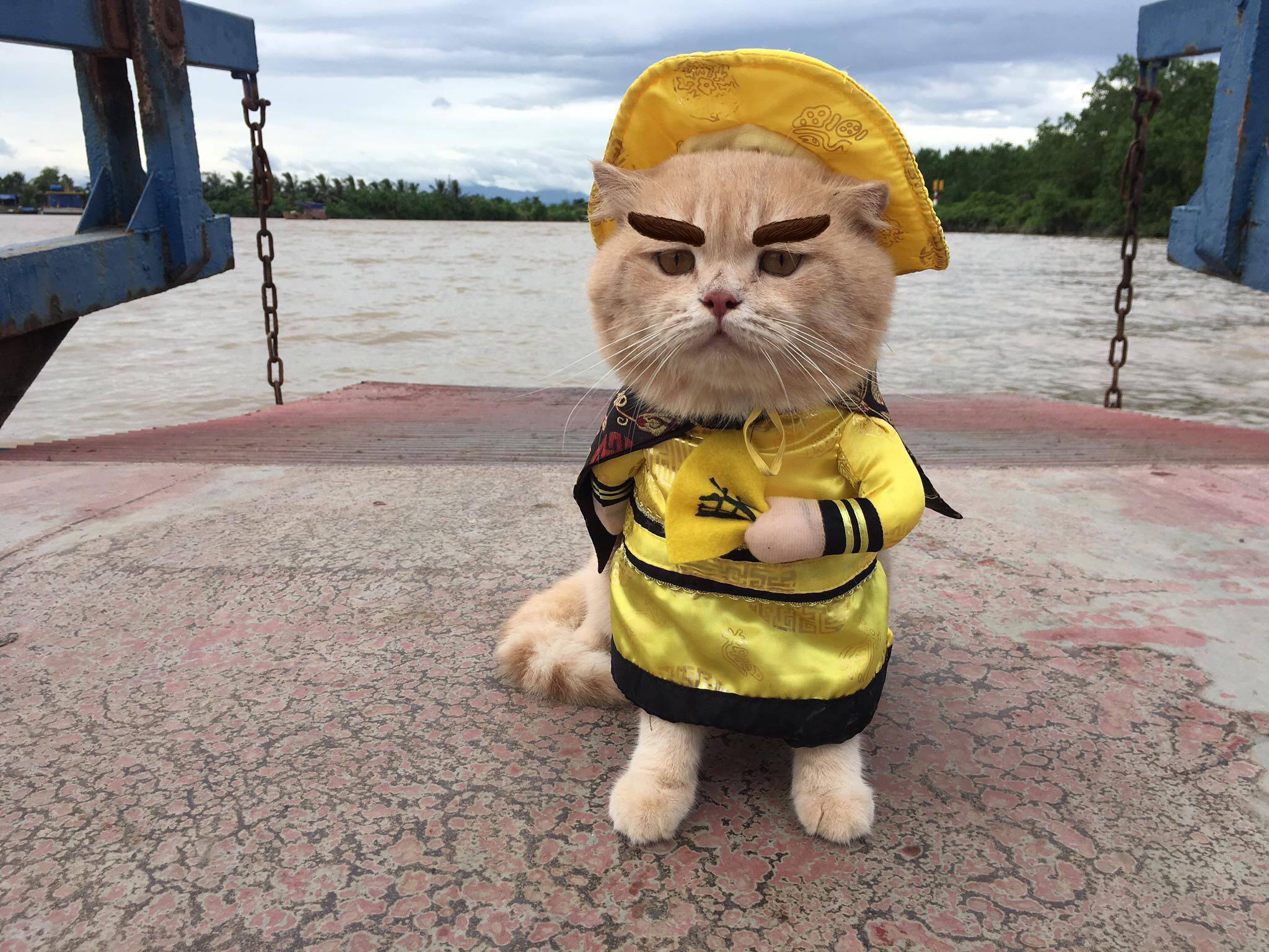 Võ Mai Nhi