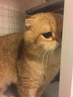 Nguyễn Thị Quỳnh Trang