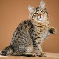 Nguyễn Thị Mai Hoa 