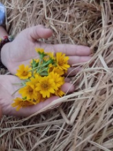 Nguyễn Thị Quỳnh Như 