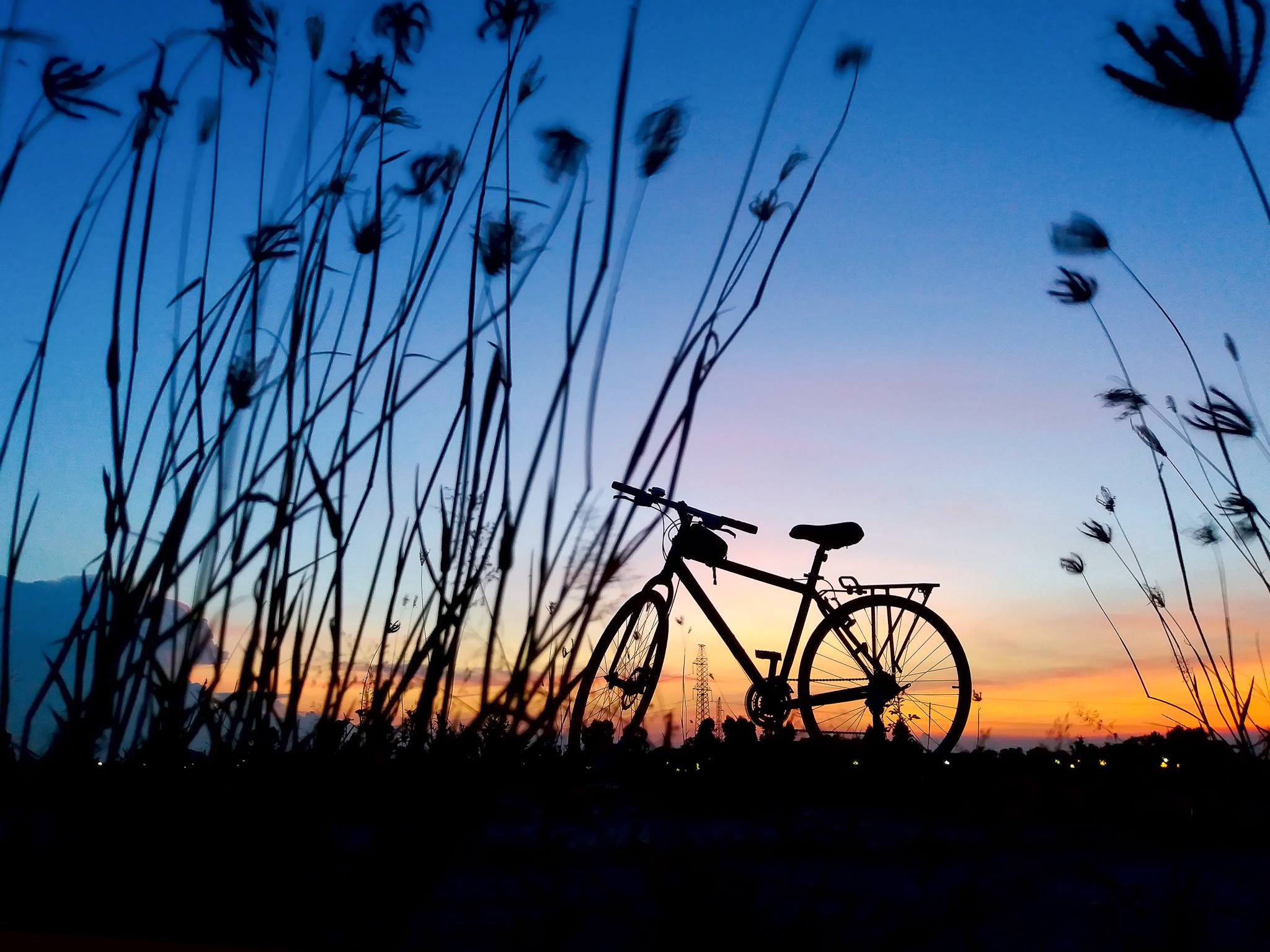 trần hữu thịnh