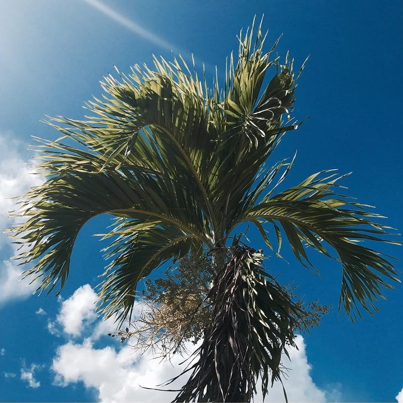 Nguyễn Bảo Nguyệt An