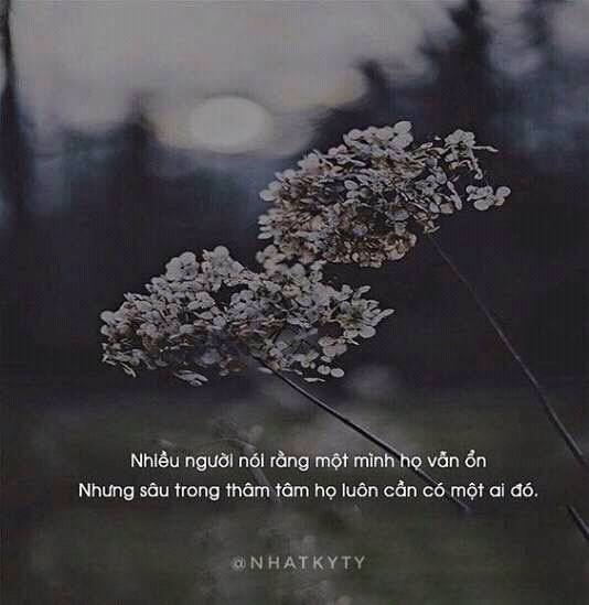 Nguyễn Thị Kiều Diễm