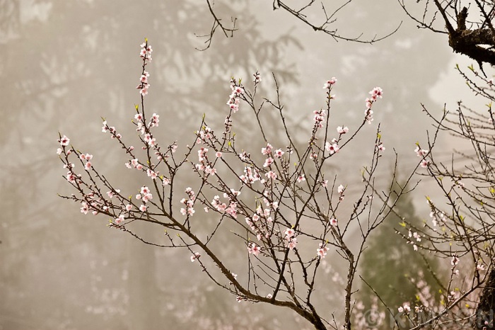 Những ngày cuối năm 