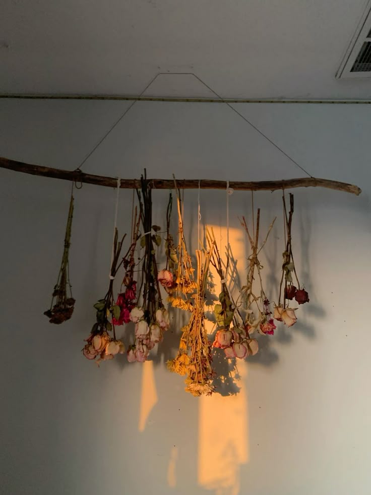 5 Thứ Người Giàu Tuyệt Đối Không Để Trong Nhà Trongnha