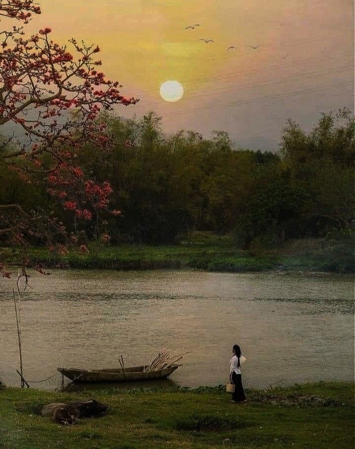 Mo Mang Doi Mat Chim Cong