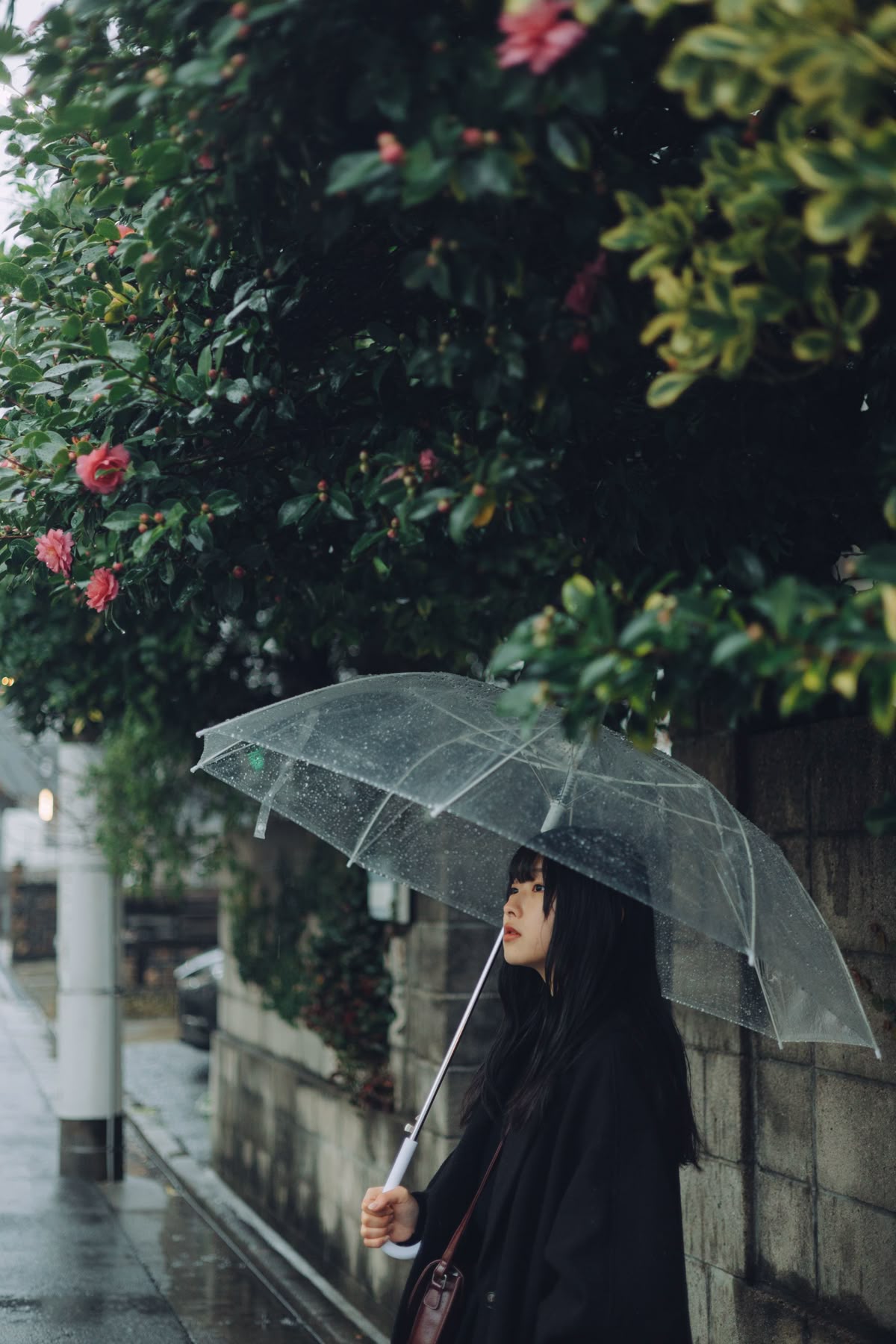 Tinh Yeu %E2%80%93 Chat Doc Vi Ai