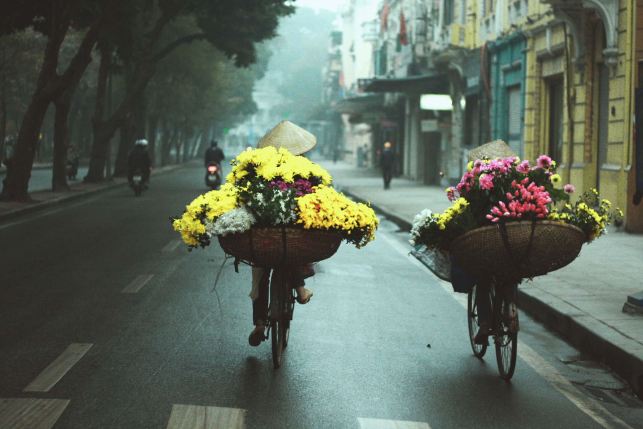 Hanoi2