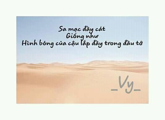 My Meo