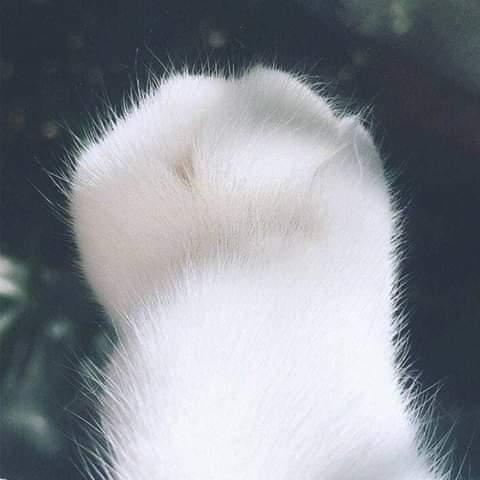 Nhàn đình