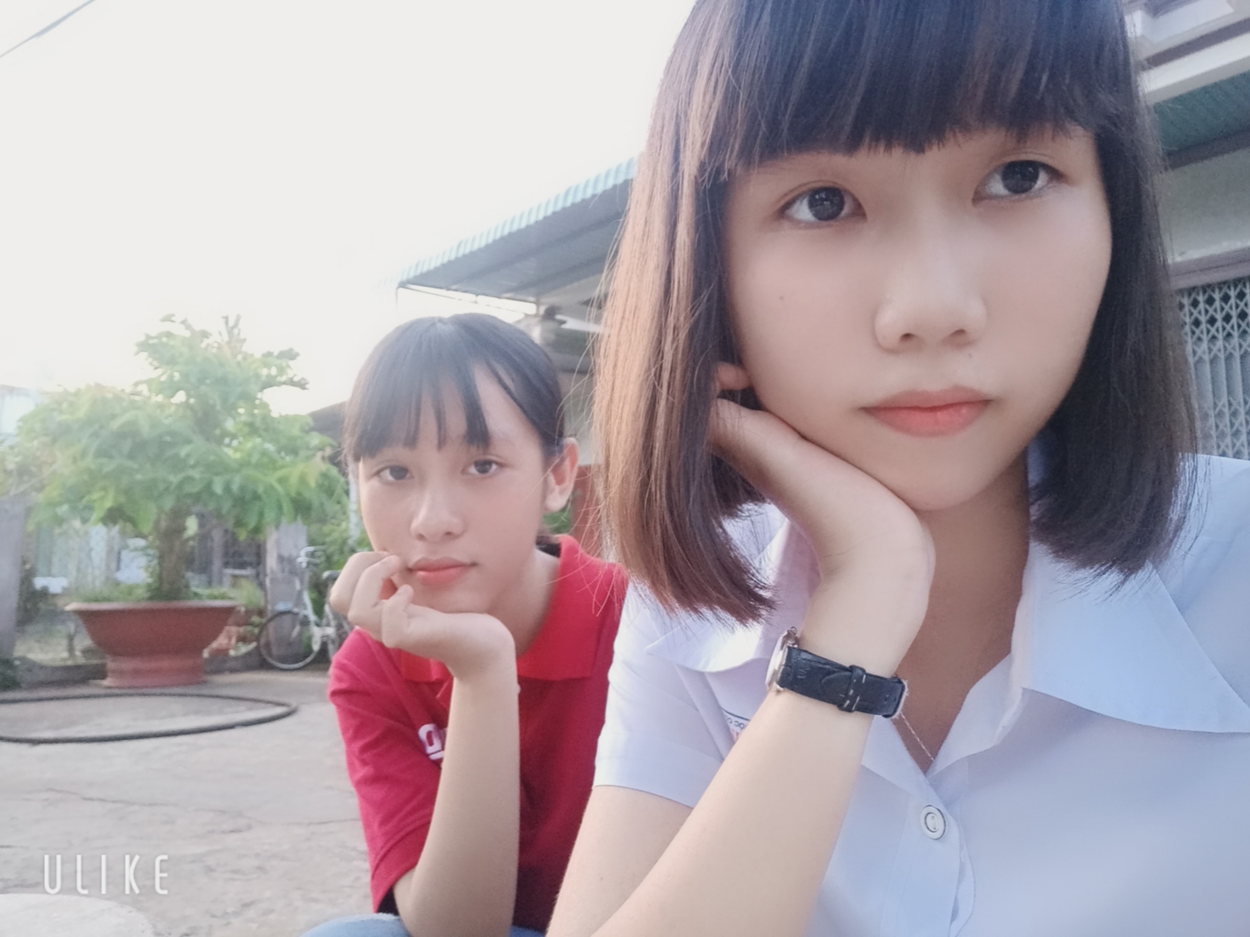 Nhok's Siinees