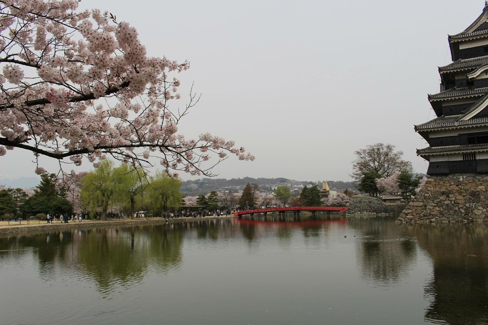 múi lỳ