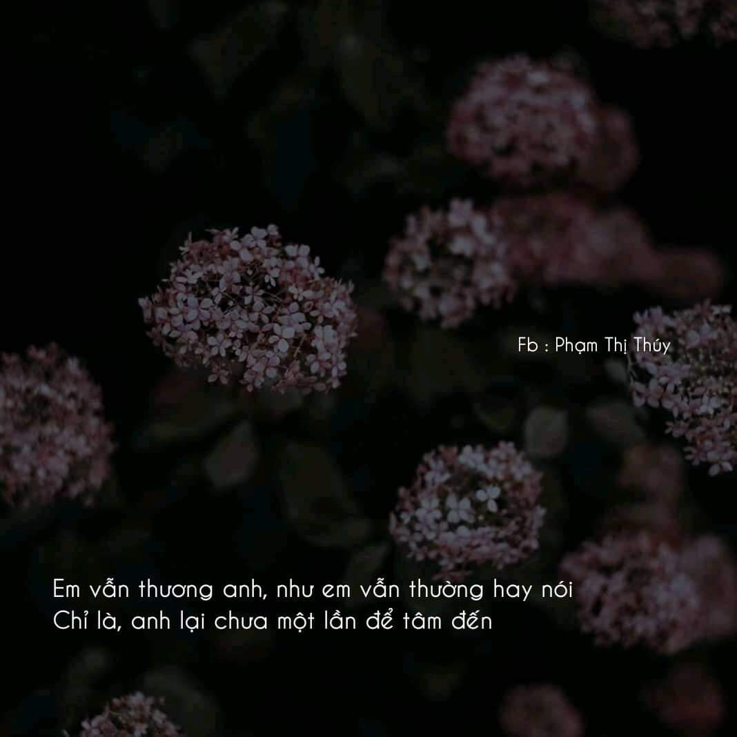 Vẫn nhớ về anh