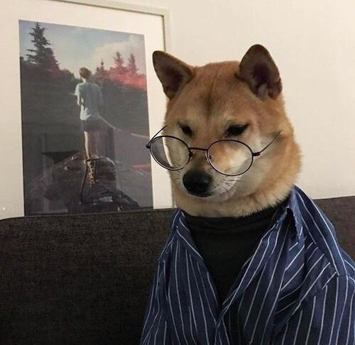 Cún đeo kính
