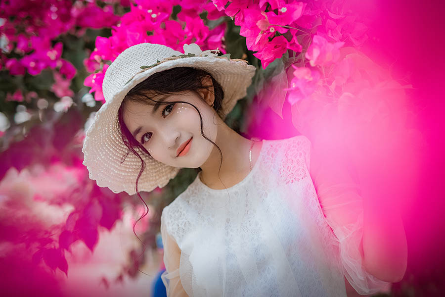 Bồ Công Anh