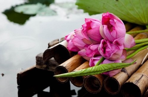 Bình Yên
