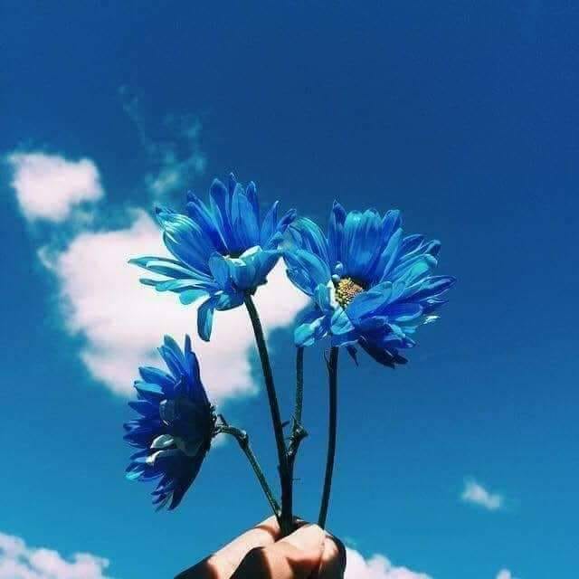 Mei