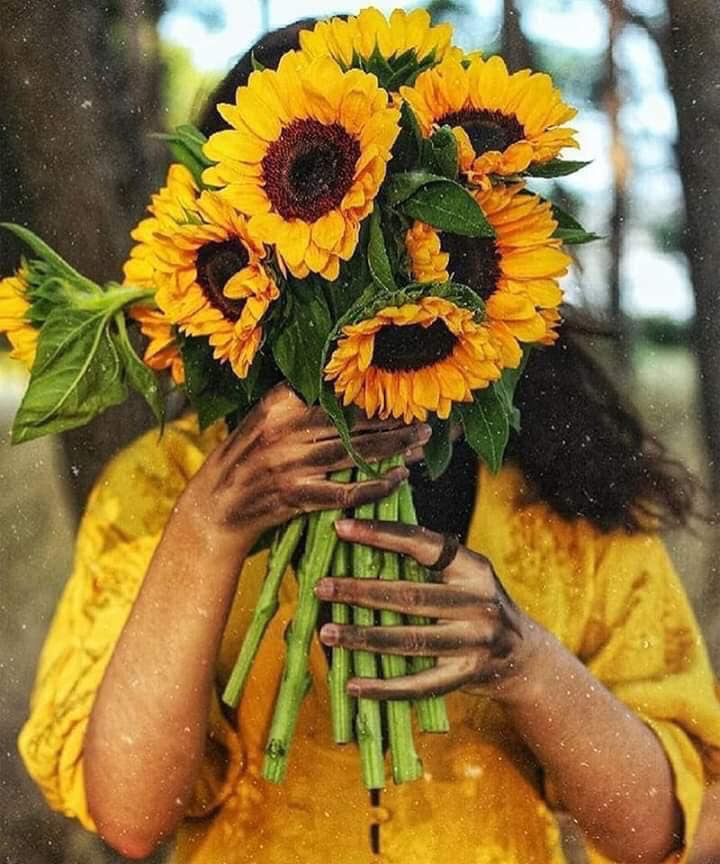 My Phương Phương