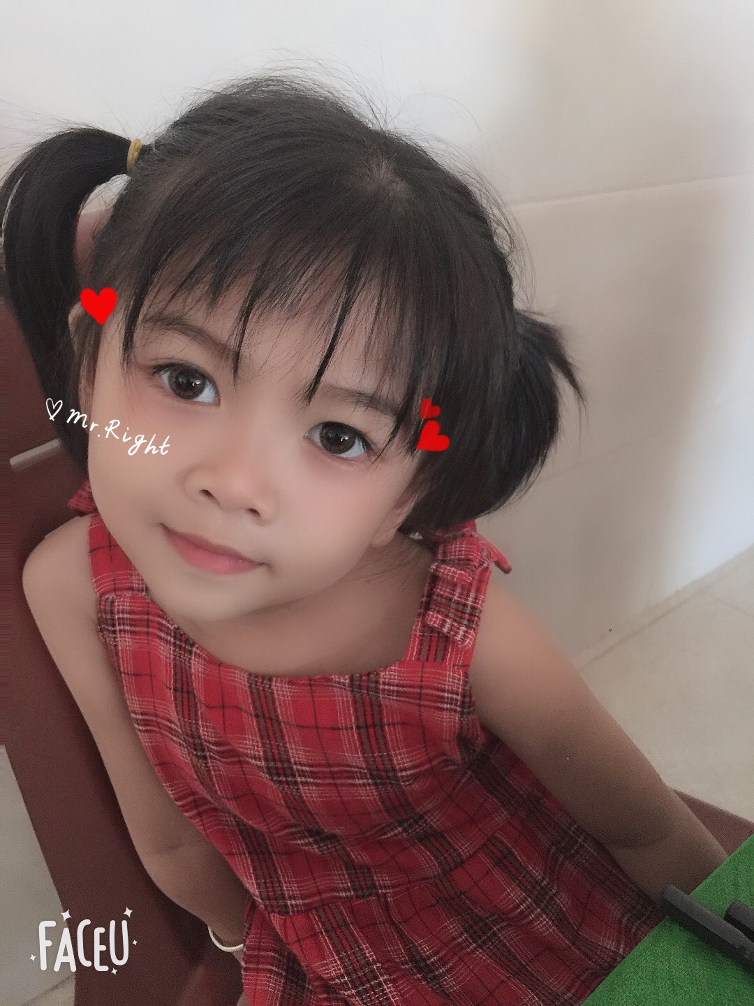 Nhím con ngây thơ