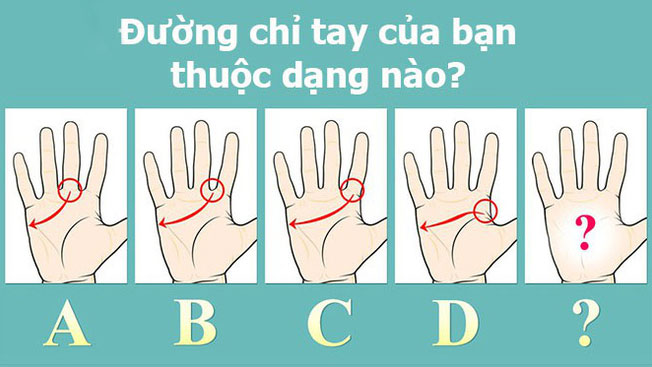 Đường chỉ tay như thế nào thì có tướng làm sếp?