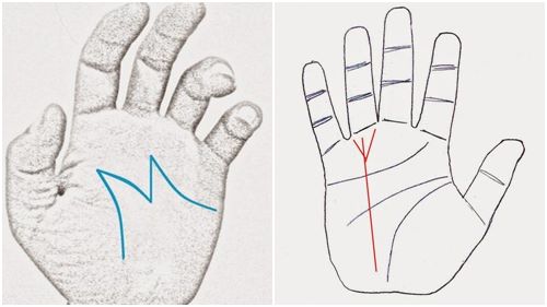 Cách để nhận biết một người thành công qua đường chỉ tay