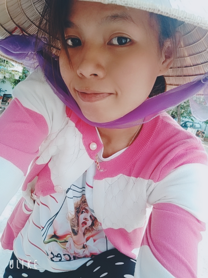 Rose sunny