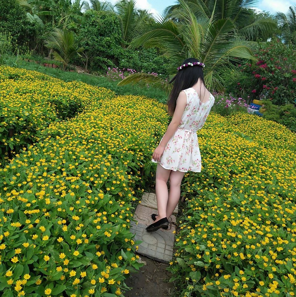 Cẩm Tú