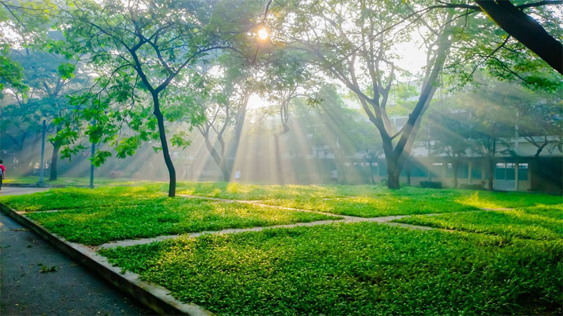 Trương Thị Tú Anh