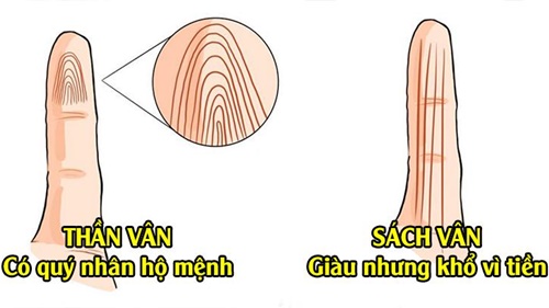 Tập trung quan sát ngón út trong 3 giây, có thể biết hậu vận một người sướng hay khổ