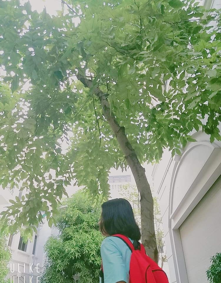 Dương Lin