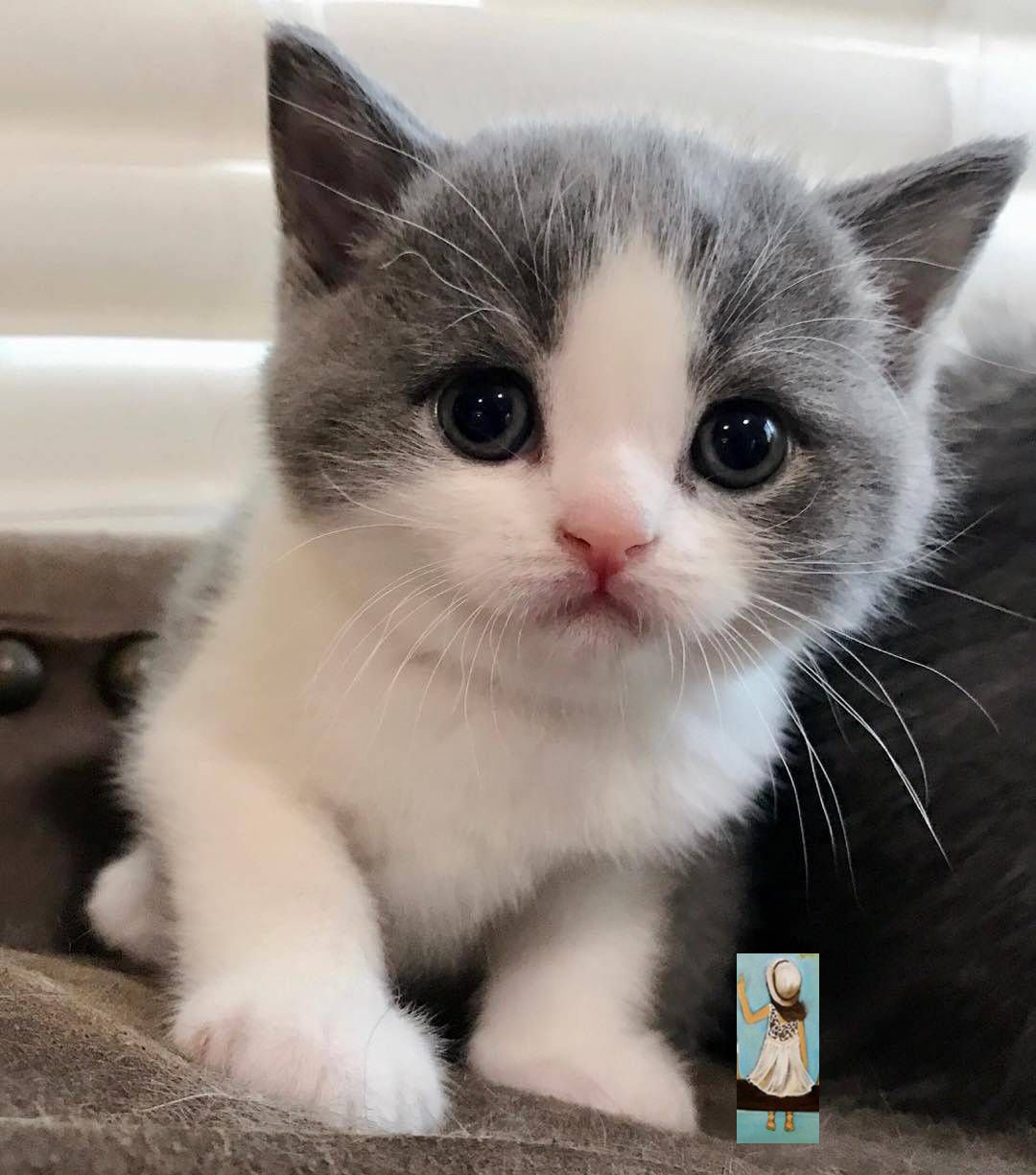 Hướng dẫn viên du lịch Phan Trường