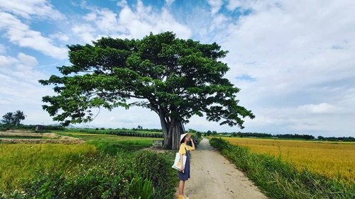 Tôi cũng có những nơi như Đo Đo của Ngạn