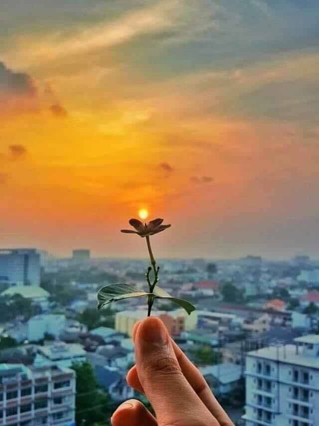 Trang Trần