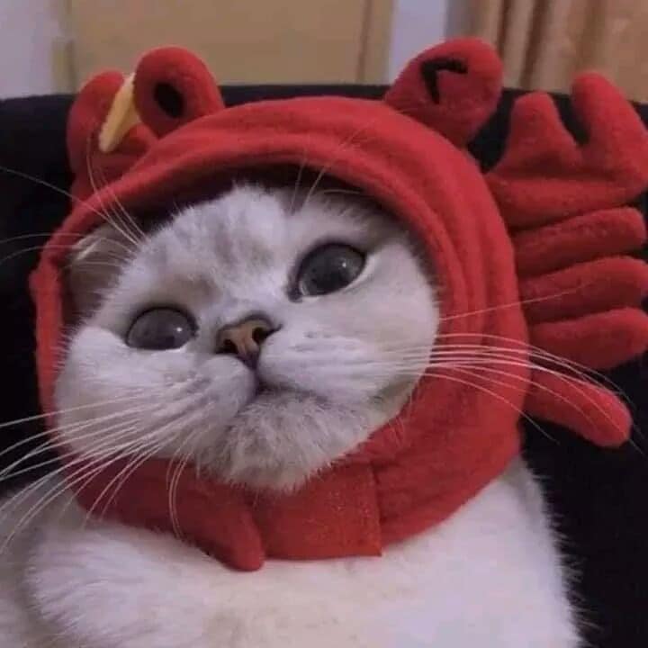 Thị Nở 
