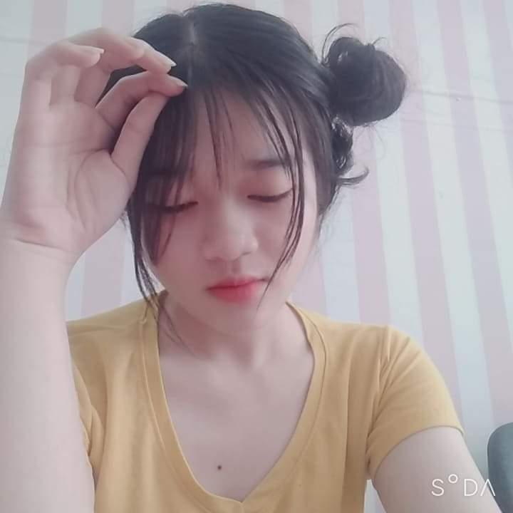 Vyvy