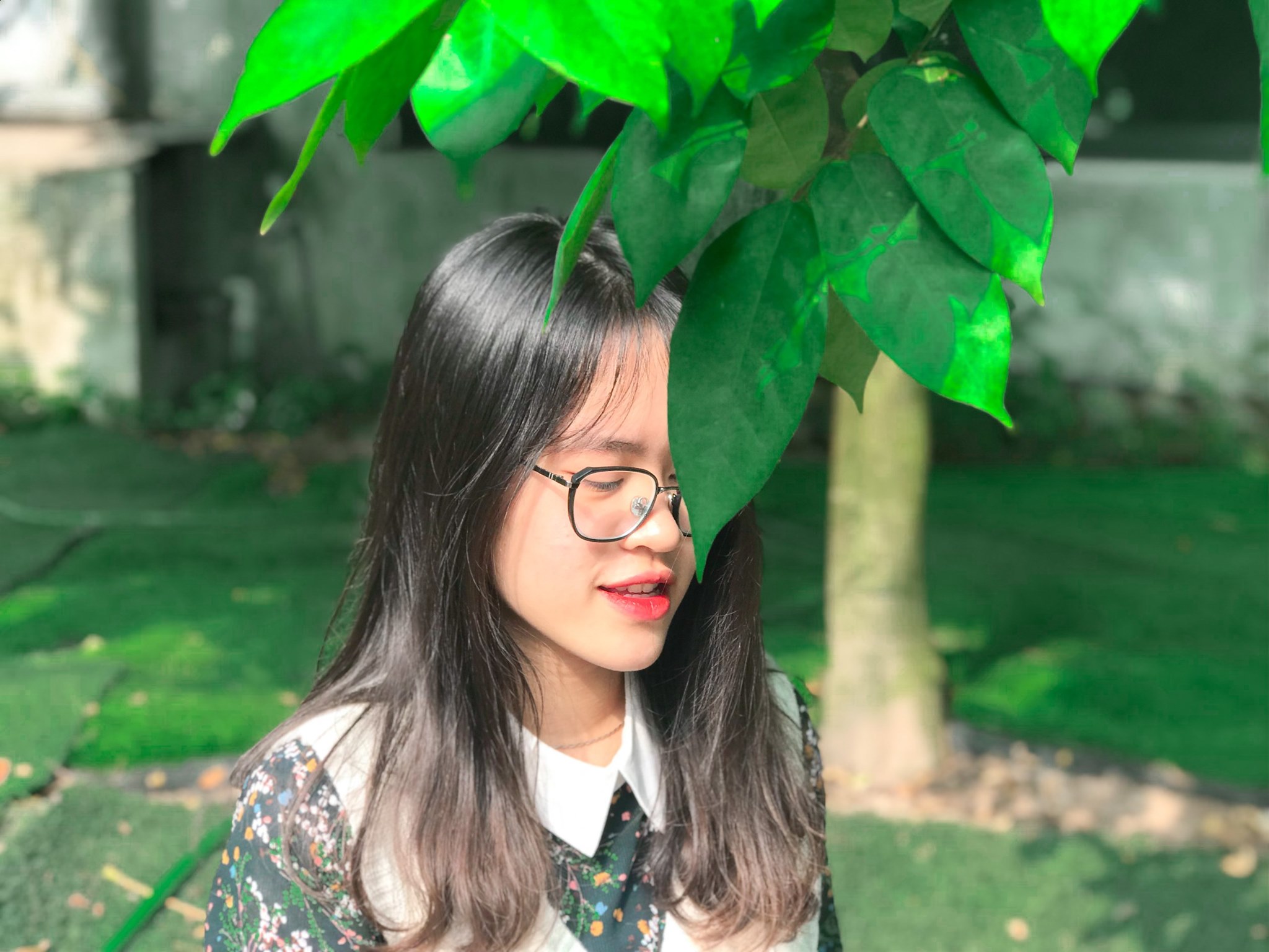 Thỏ Ngọc
